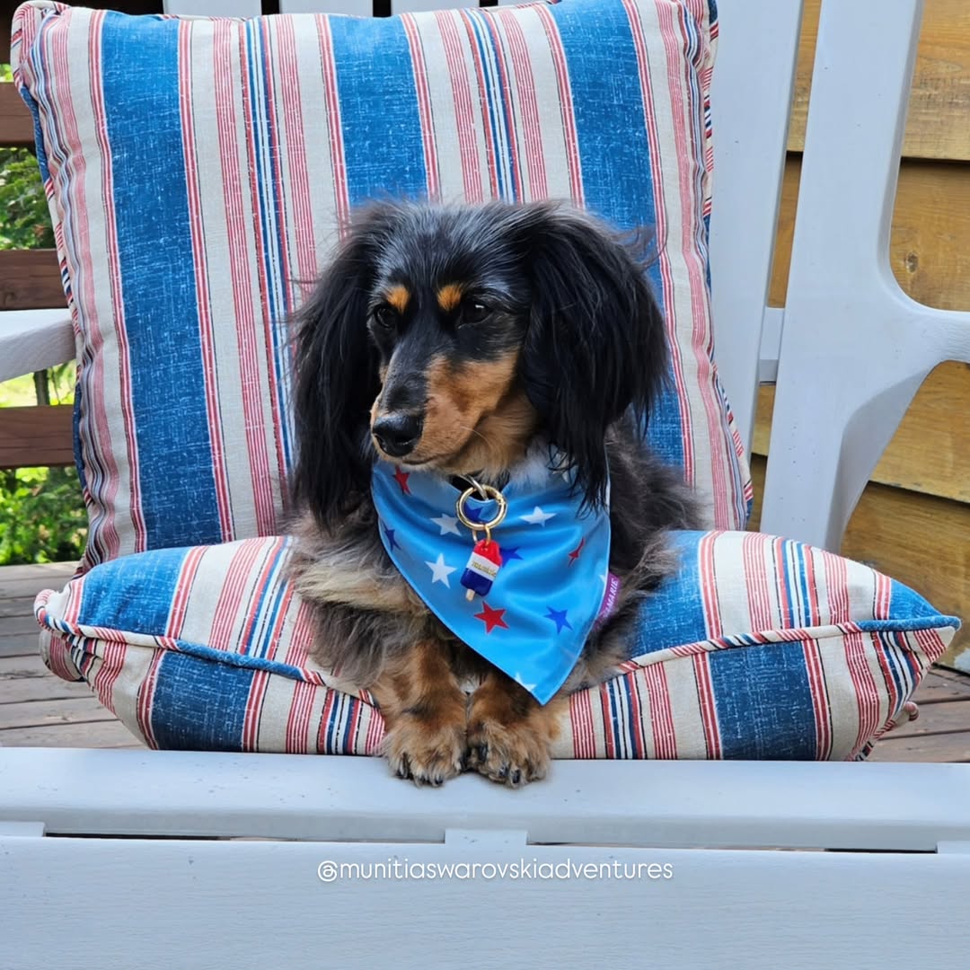 Liberty Bandana