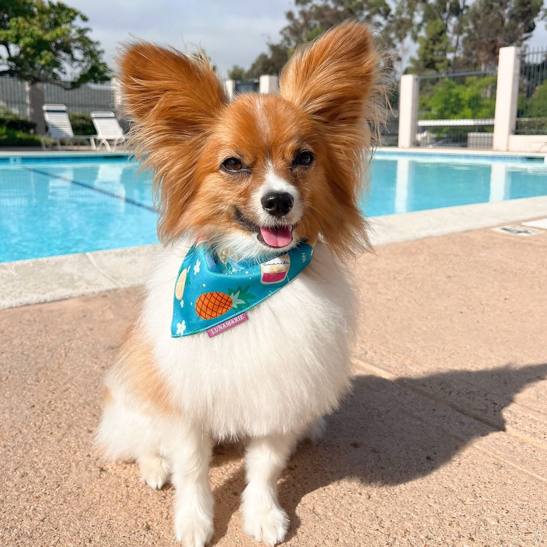 Sippin' Poolside