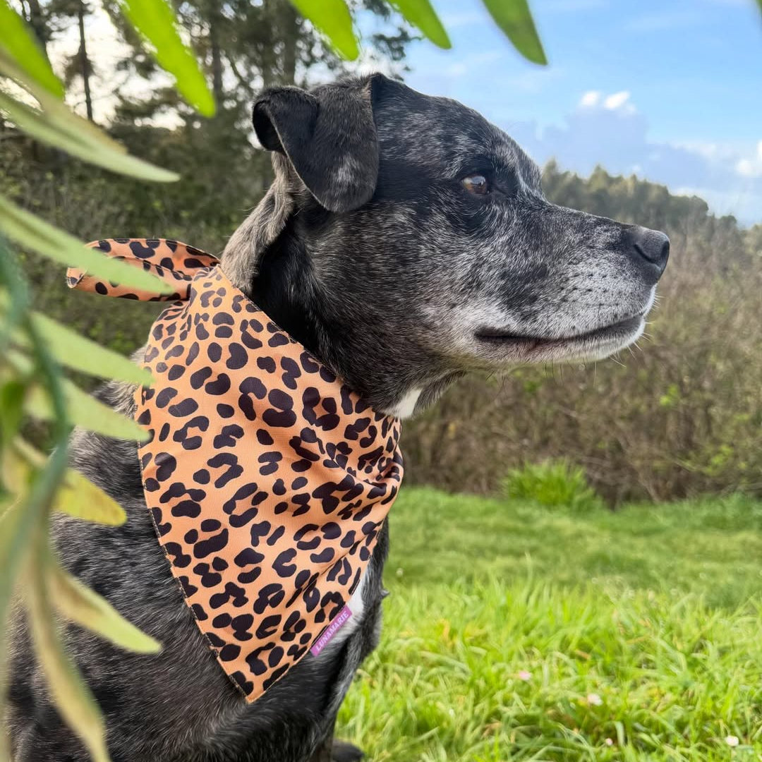 Leopard Bandana