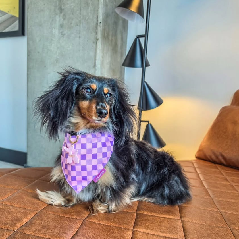 Violeta Rebel