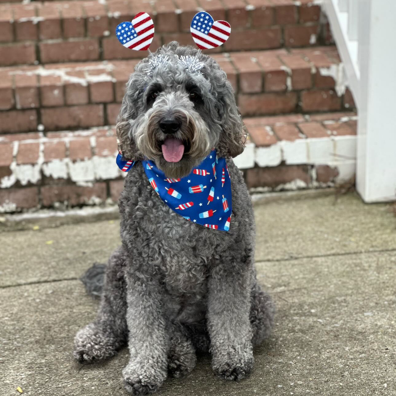 American Pup-sicle Bandana