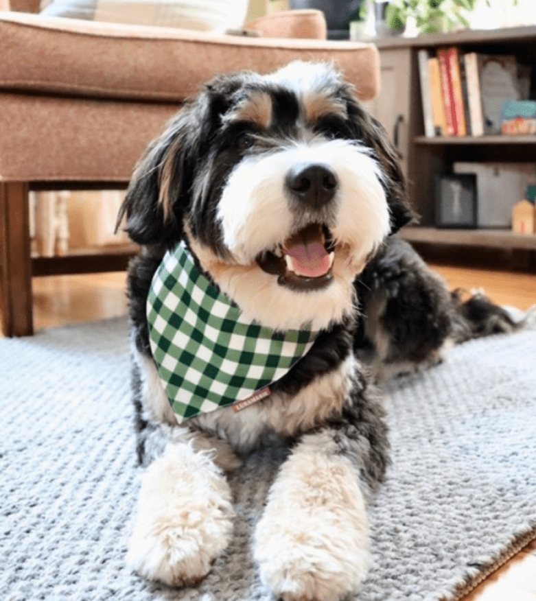 Olive Bandana - LunaMarie