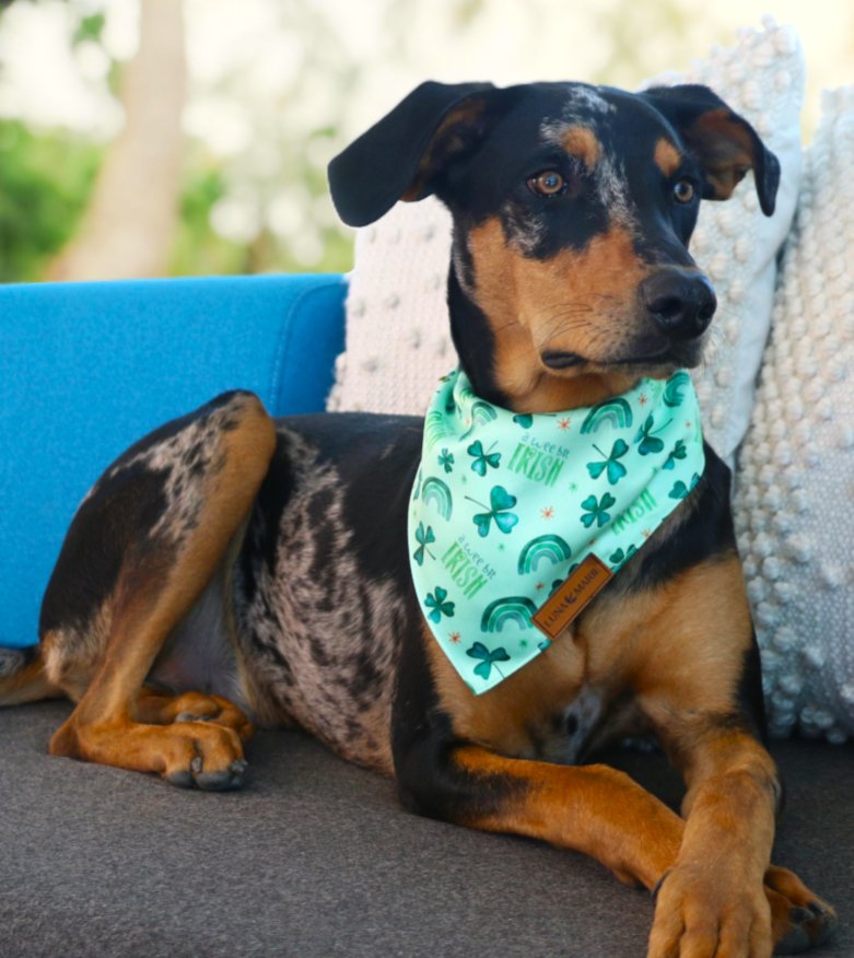 A Wee Bit Irish - LunaMarie