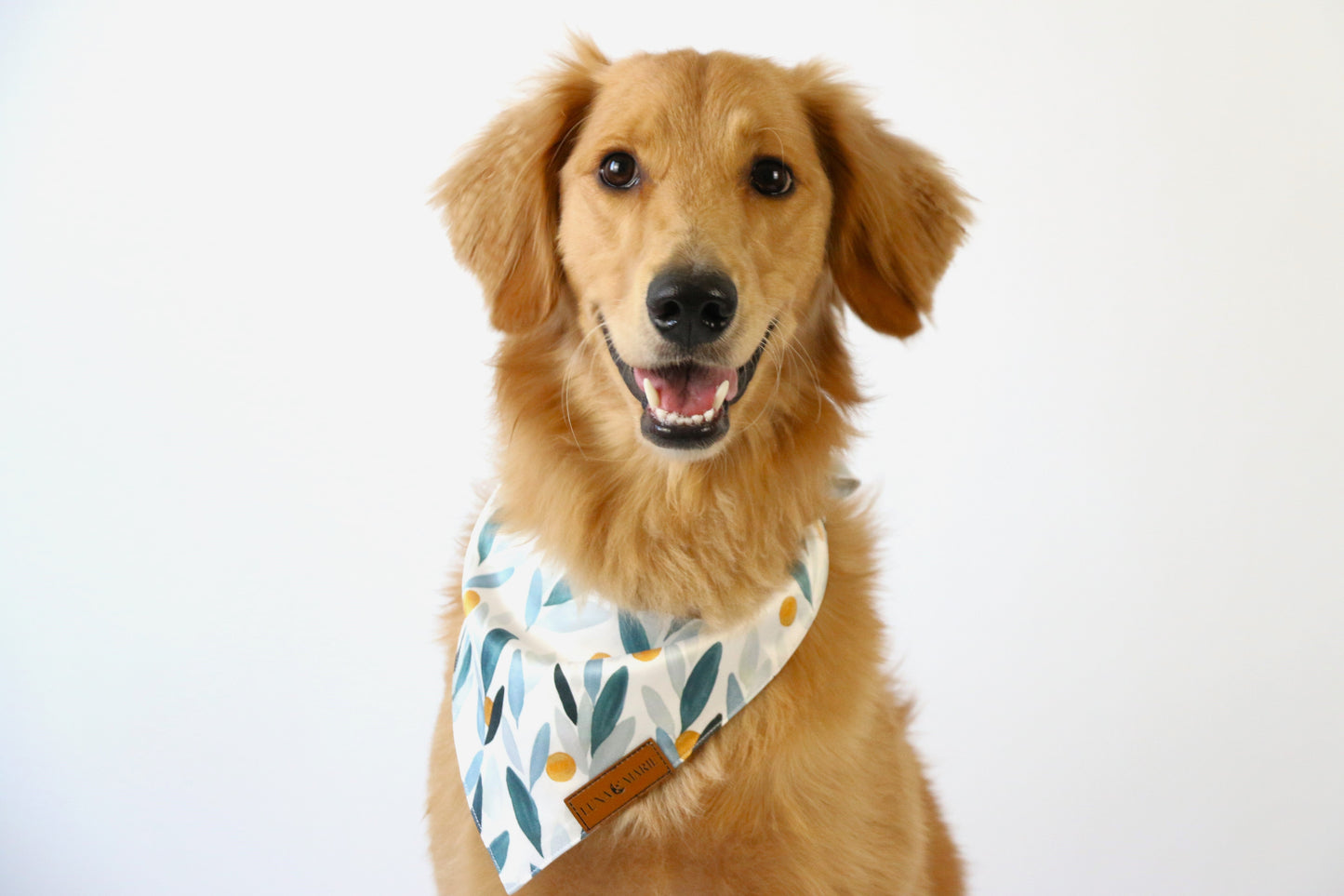 Aspen Bandana - LunaMarie