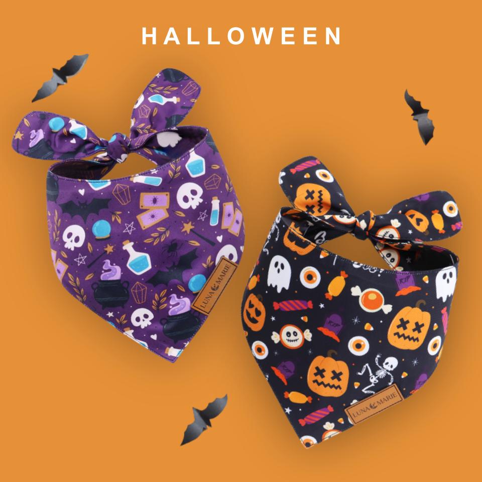 Bewitched Bandana - LunaMarie