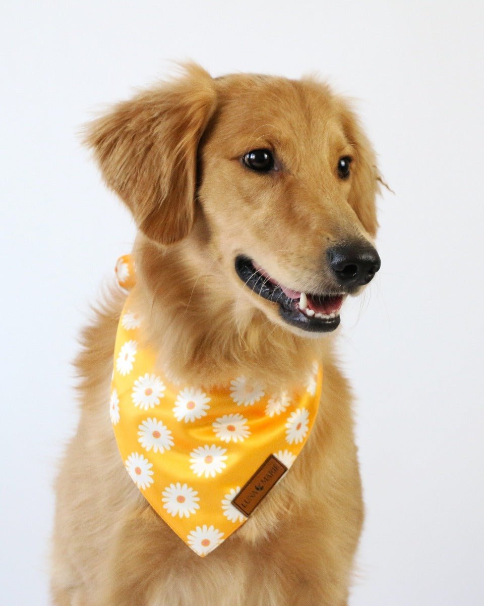 Daisies Bandana - LunaMarie