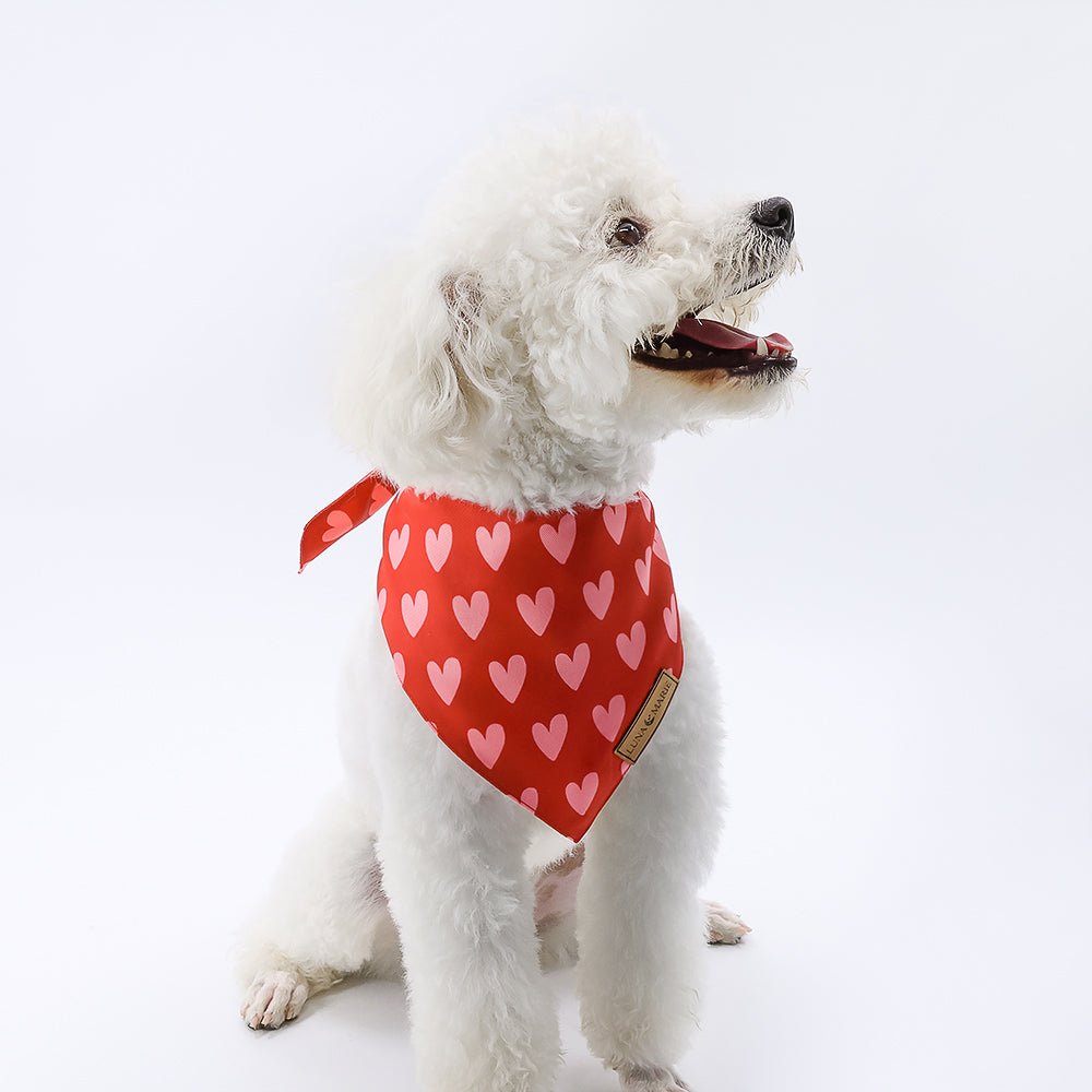 Evie Bandana - LunaMarie