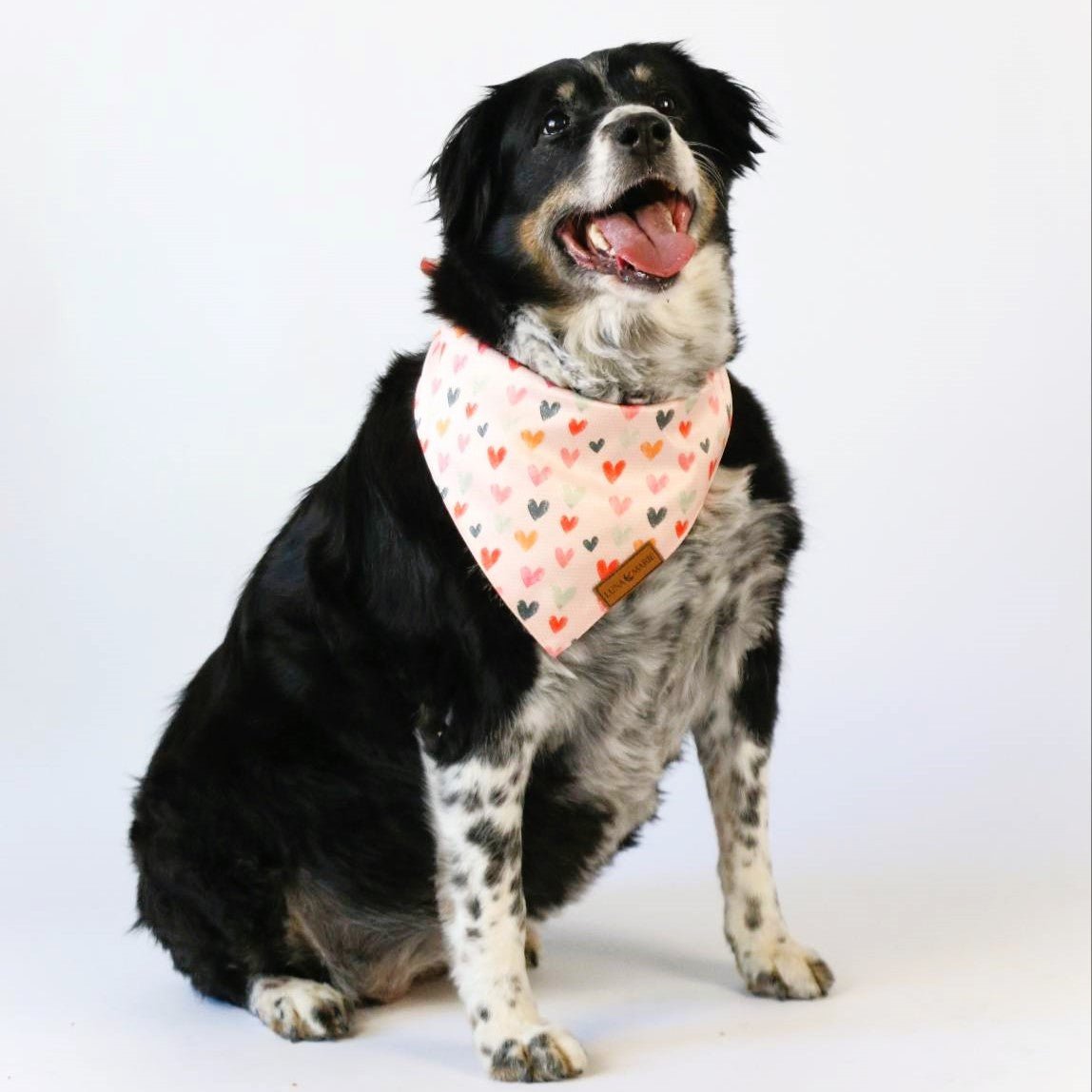 Pink Hearts Bandana - LunaMarie
