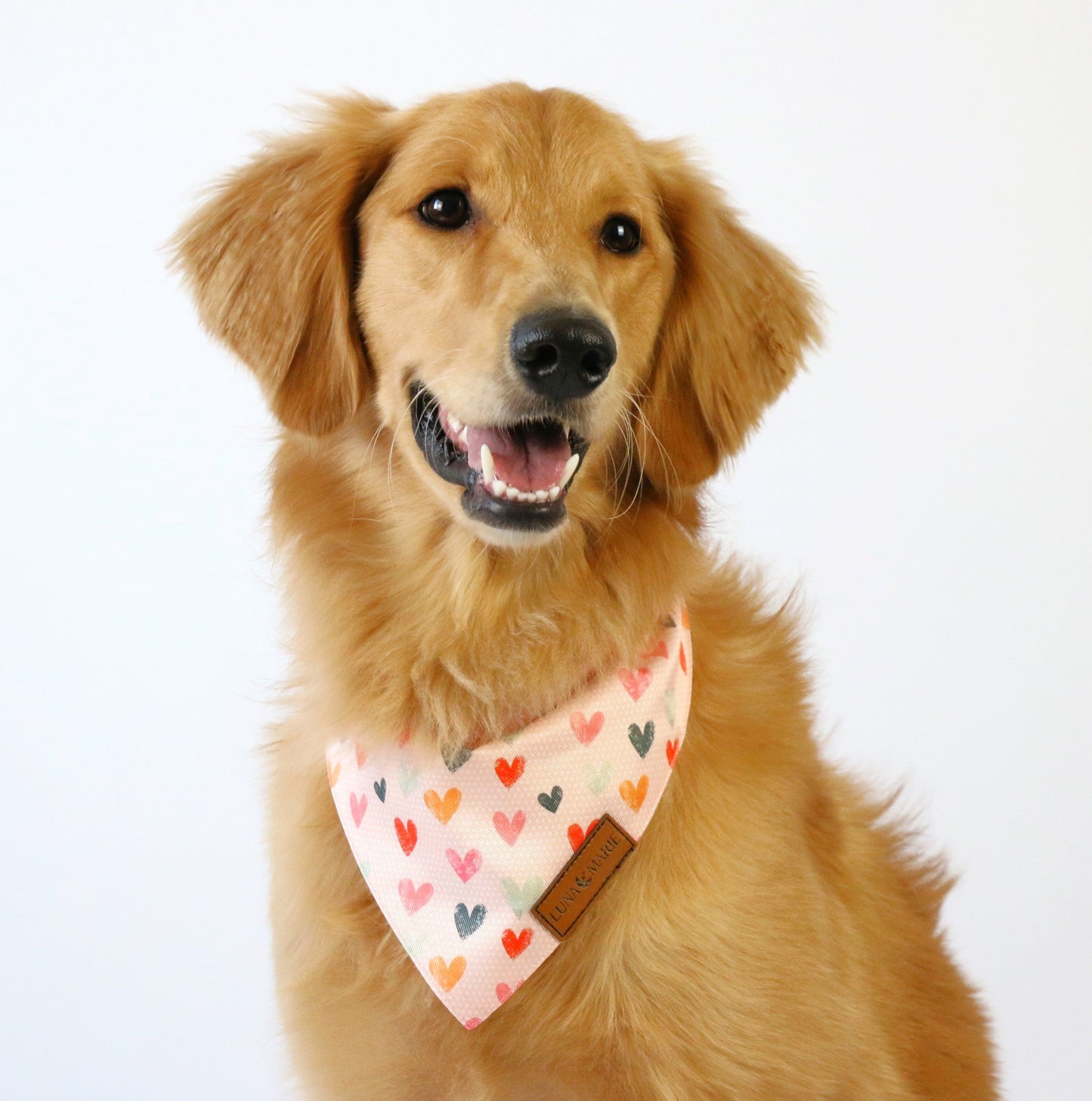 Pink Hearts Bandana - LunaMarie