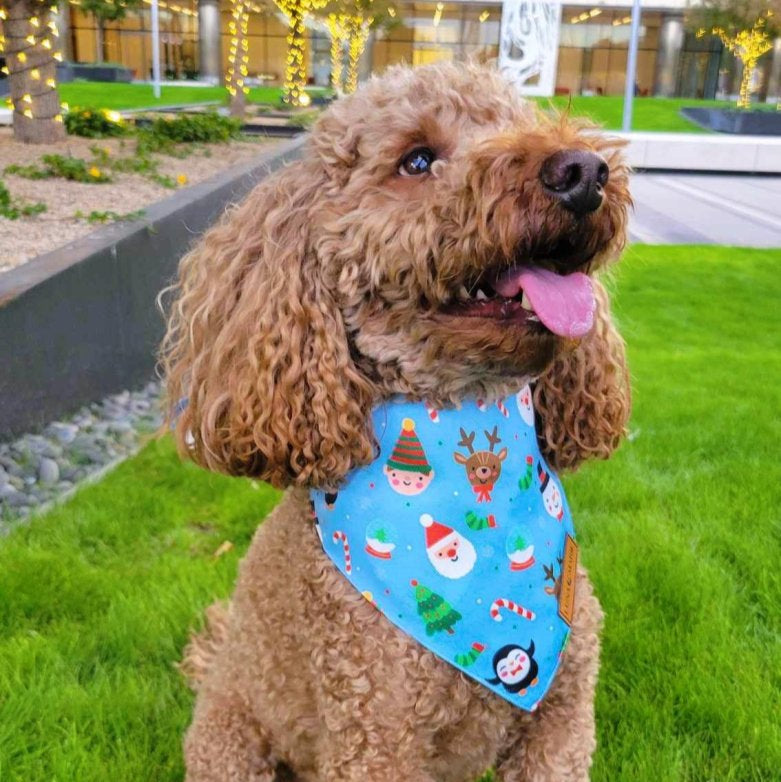 Santa's North Pole Bandana - LunaMarie