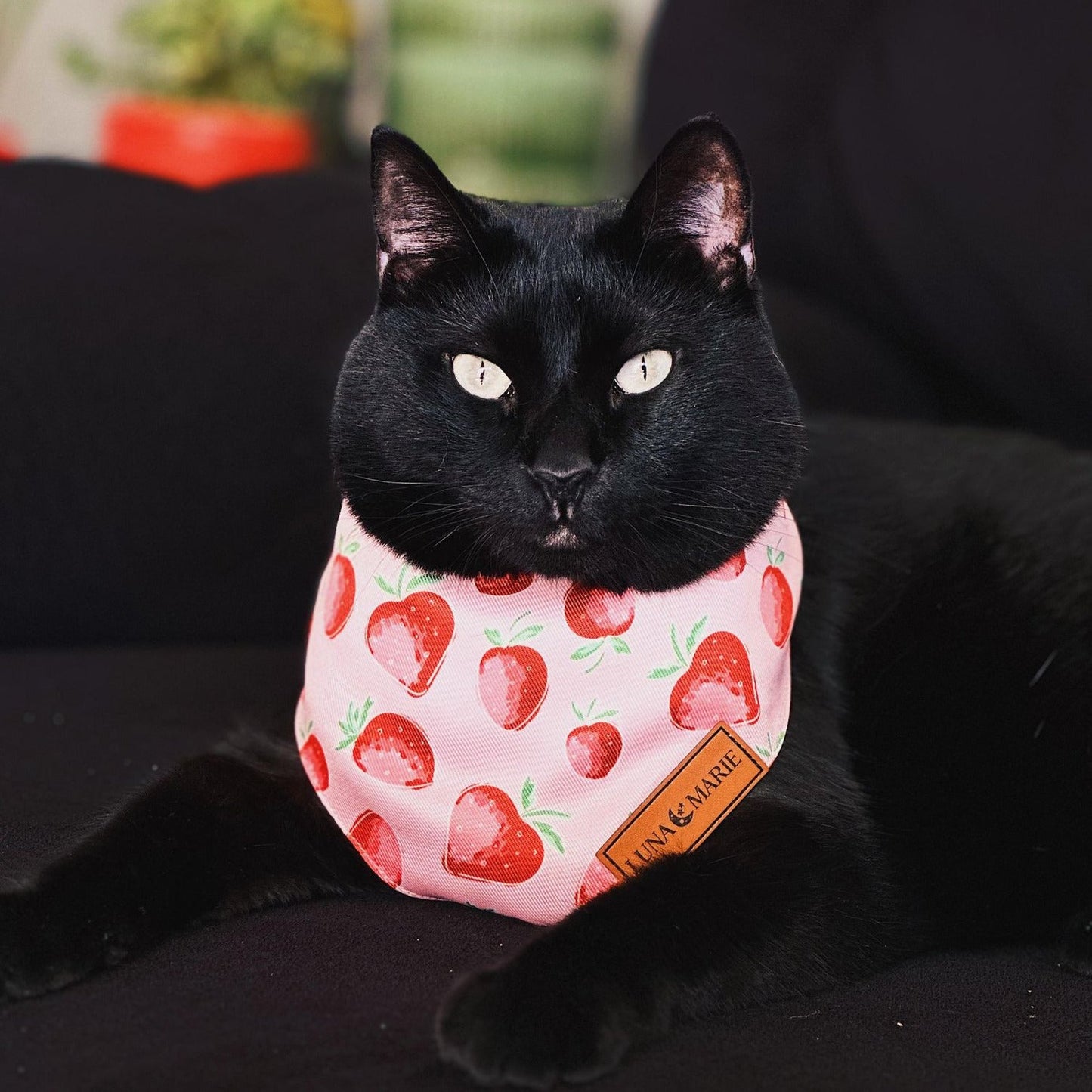 Strawberry Bandana - LunaMarie
