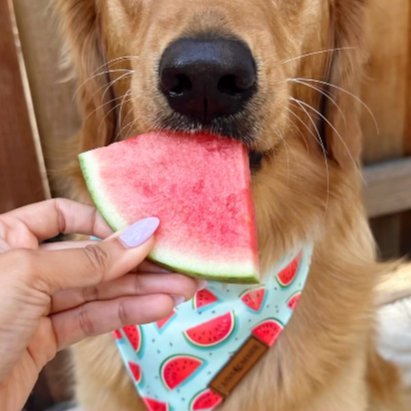 Watermelon Bandana - LunaMarie