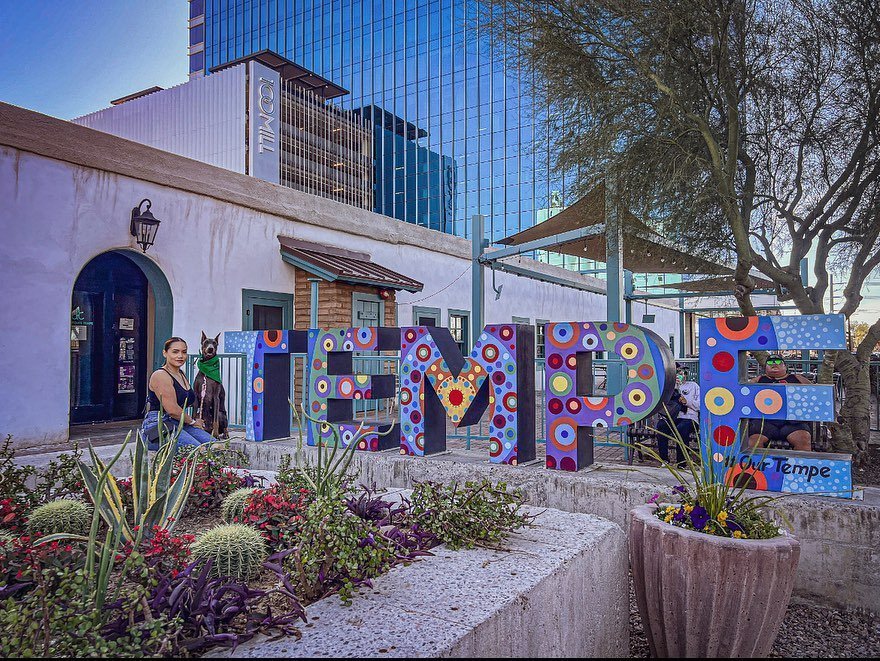 The Ultimate Guide to Pet-Friendly Breweries and Restaurants in Tempe ...
