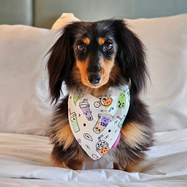 Boba Bandana