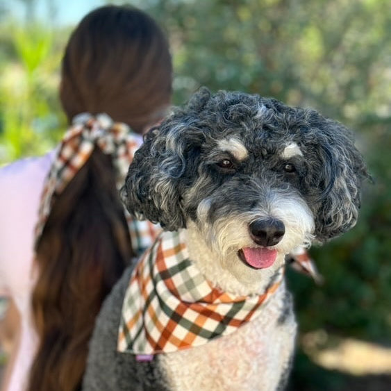 Autumn Bandana