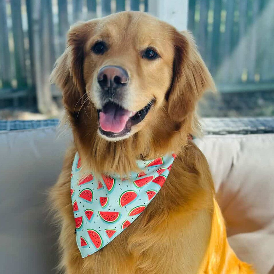Watermelon Bandana