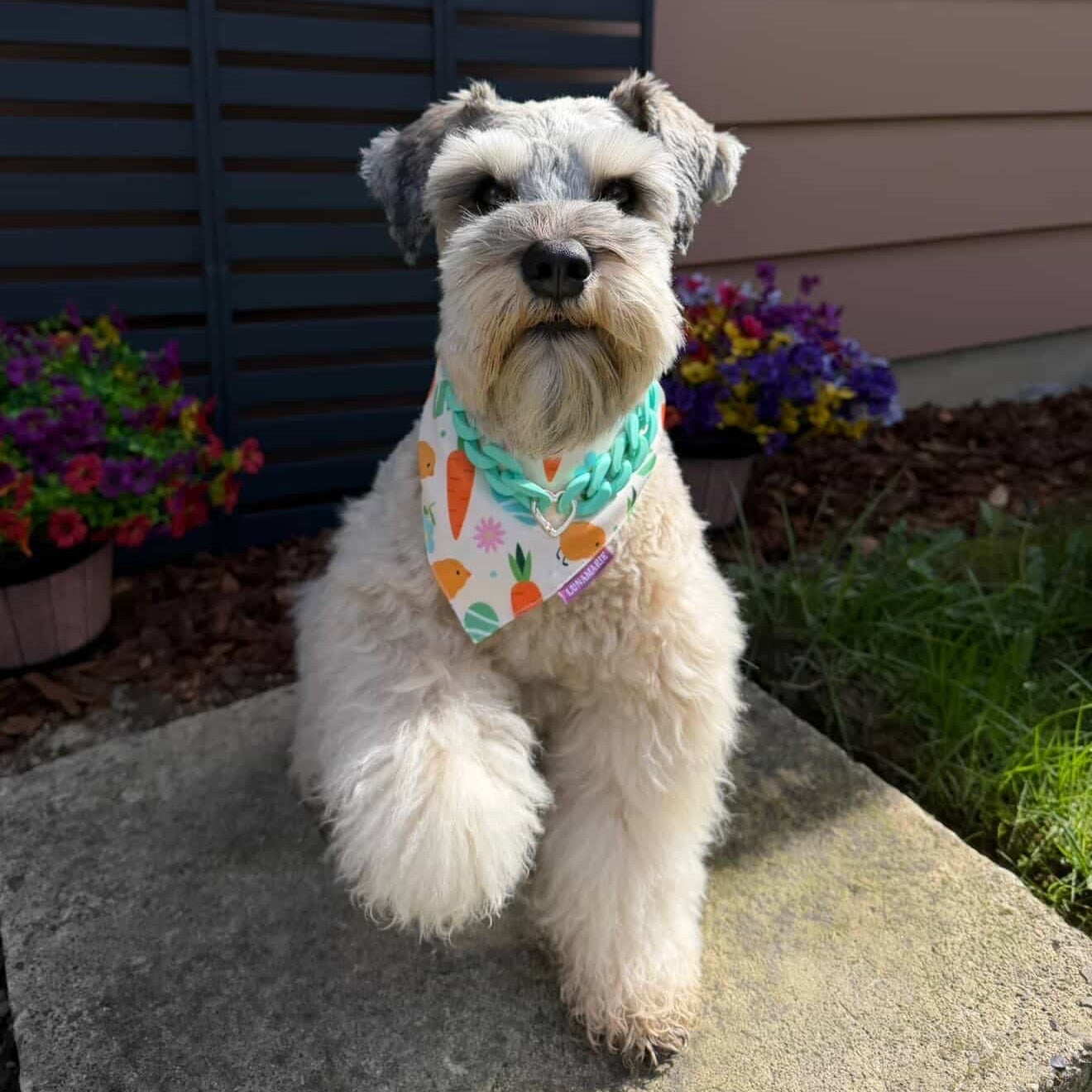 Easter Garden Bandana