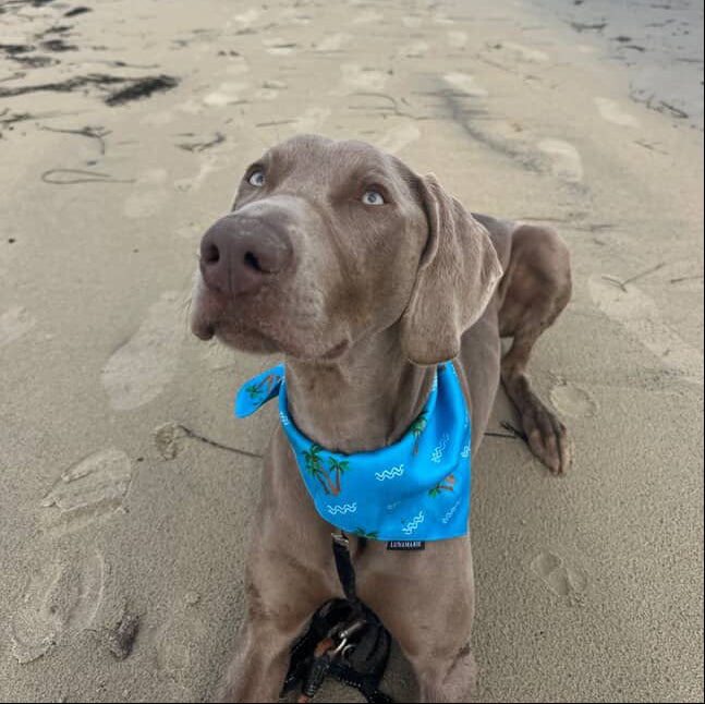 Playa Azul