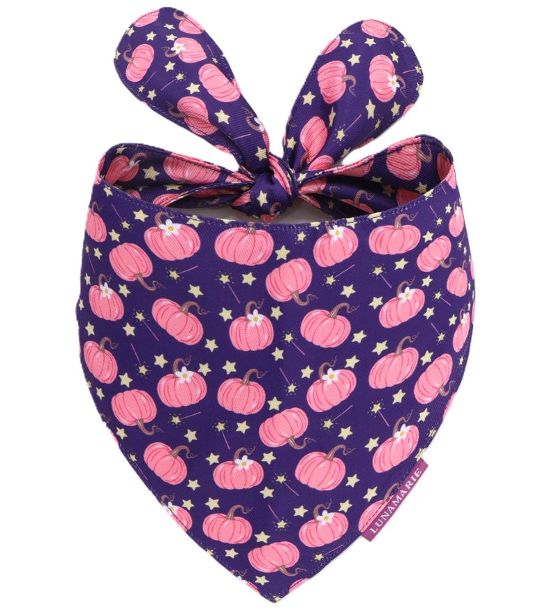 Enchanted Bandana