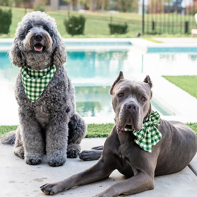 Olive Bandana