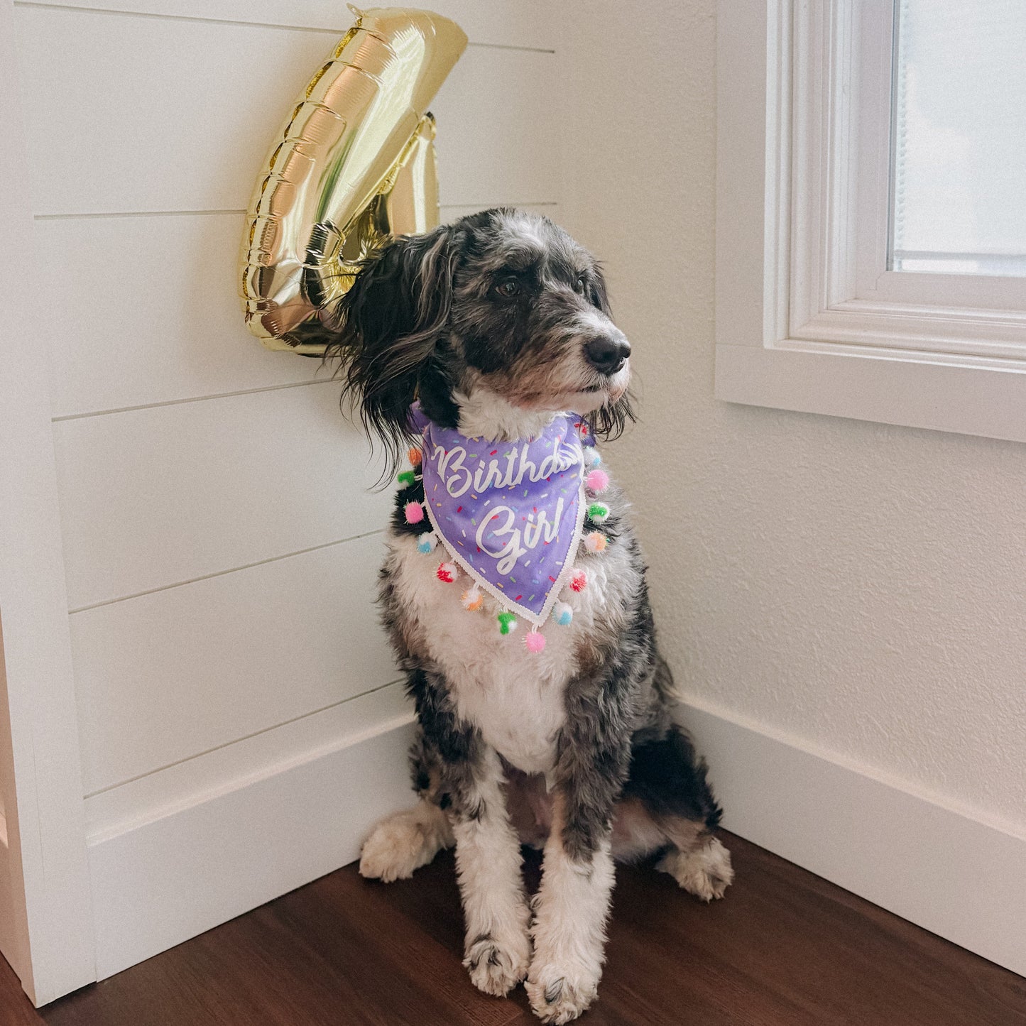 Birthday Girl Purple