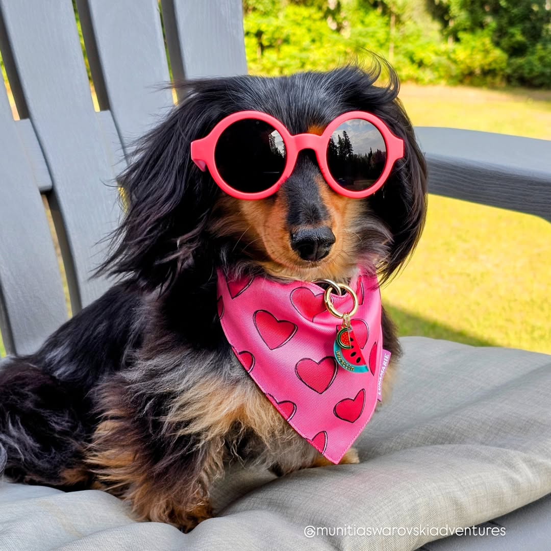 Jennifer Bandana