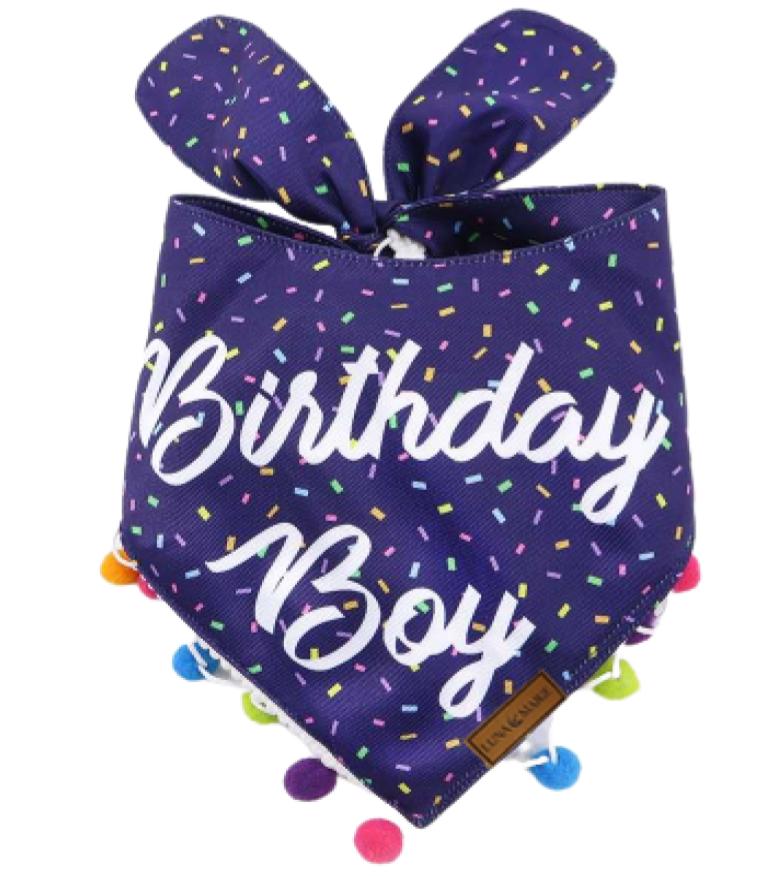 Birthday Boy Bandana - LunaMarie