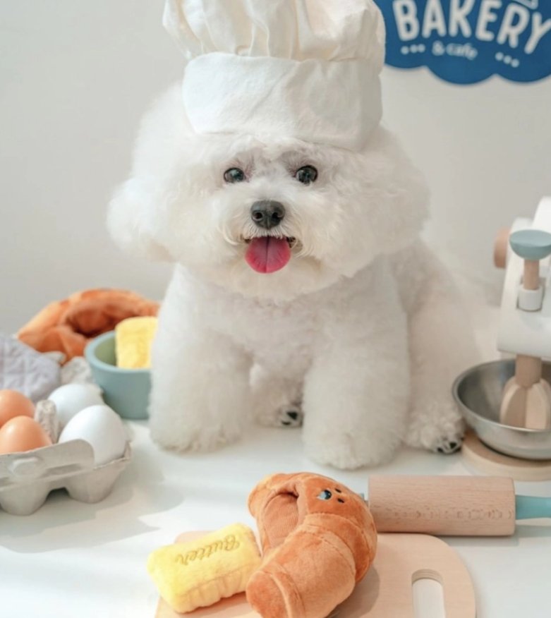 Butter Croissant Dog Toy - LunaMarie