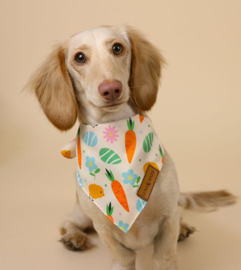 Easter Garden Bandana - LunaMarie